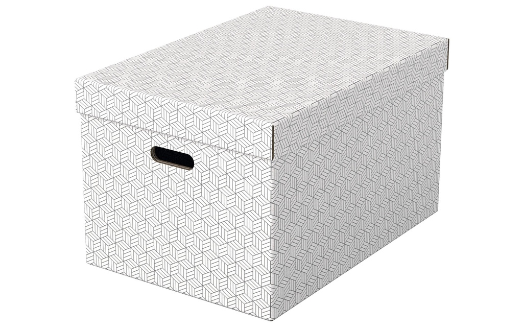 ESSELTE Box archive Home L 3pcs blanc (3 pces)