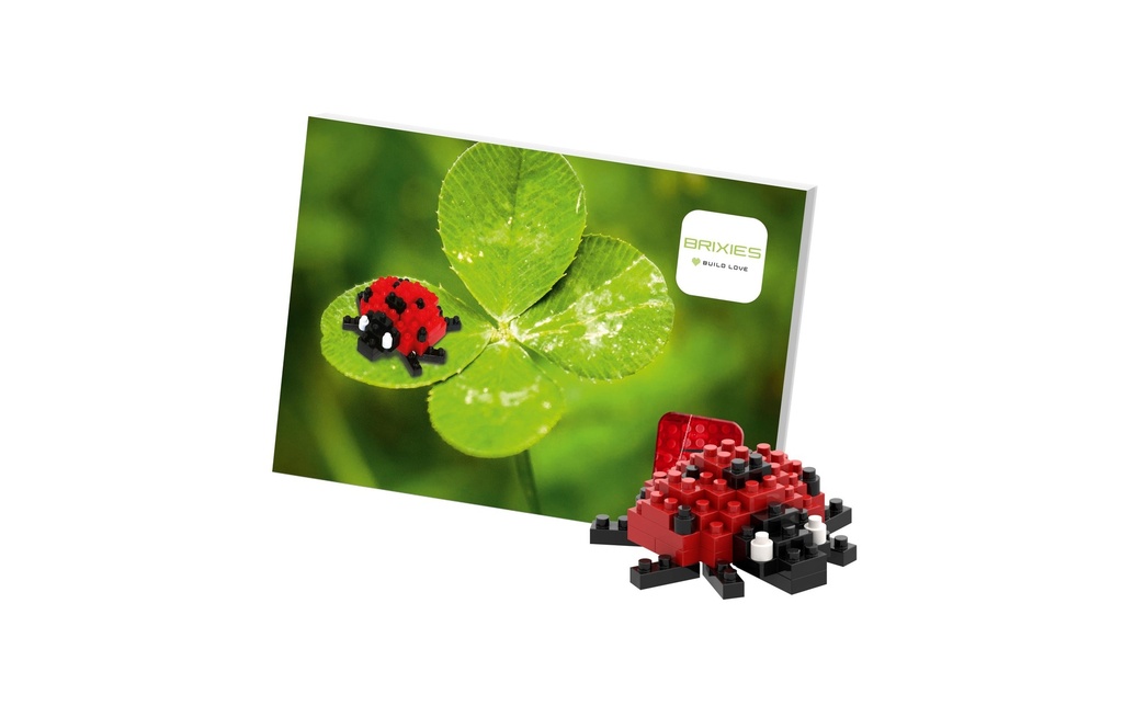 BRIXIES Modèle construction Coccinelle de 49 briques
