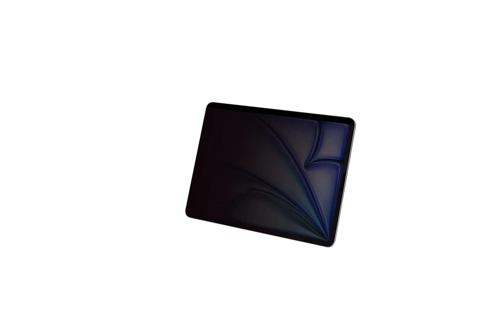DICOTA Filtre de confidentialité, support magnétique à 2 positions, iPad (10e génération) 10.9