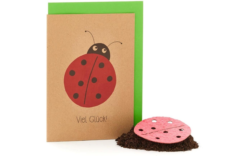 Die Stadtgärtner Carte de vœux pour les semis Bonne chance Coccinelle Carton Coloré Papier à semer