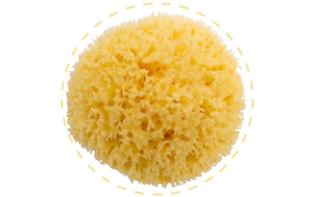 Bellini Baby Éponge naturelle blanchie Fine Silk Box n° 7 Jaune
