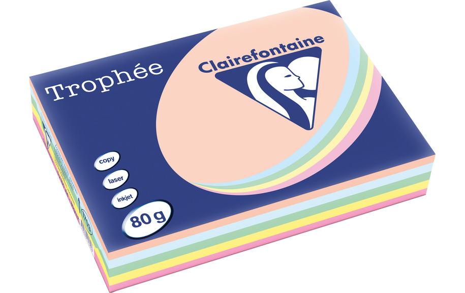 CLAIREFONTAINE Pap.copie A4 80g ass.pastel (500 pces)