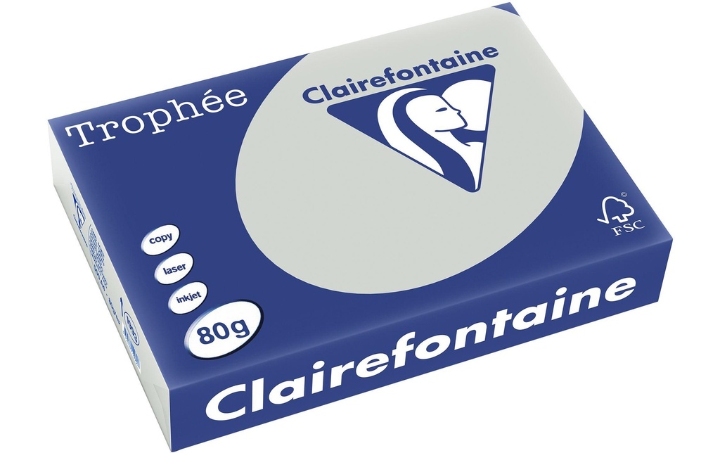 Clairefontaine Papier pour photocopie Trophée A4, 80 g/m², gris, 500 feuilles