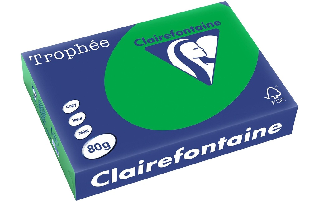 CLAIREFONTAINE Pap.copie A4 80g vert billard (500 pces)