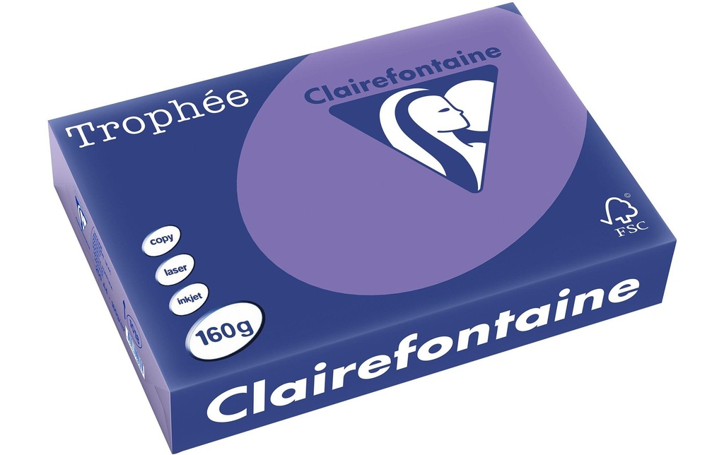 CLAIREFONTAINE Pap.copie A4 160g violet (250 pces)