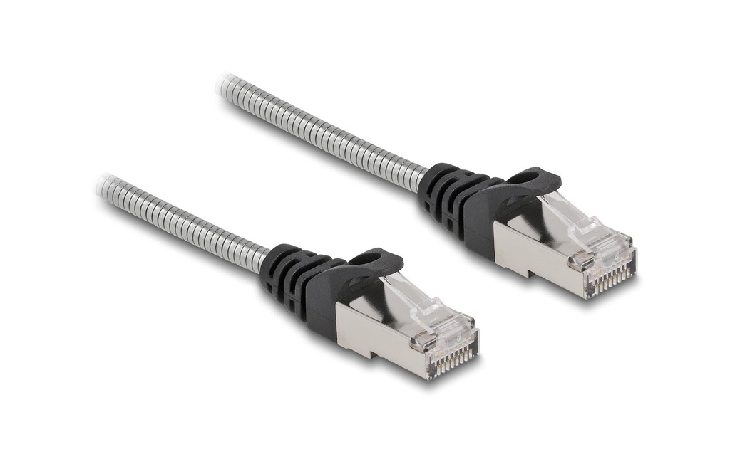 Delock Câble patch avec gaine métallique Cat 6A, U/FTP, 2 m, Argenté