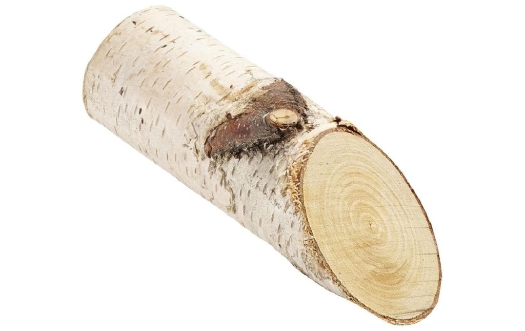 HobbyFun Matériaux naturels Troncs de bouleau 15 cm