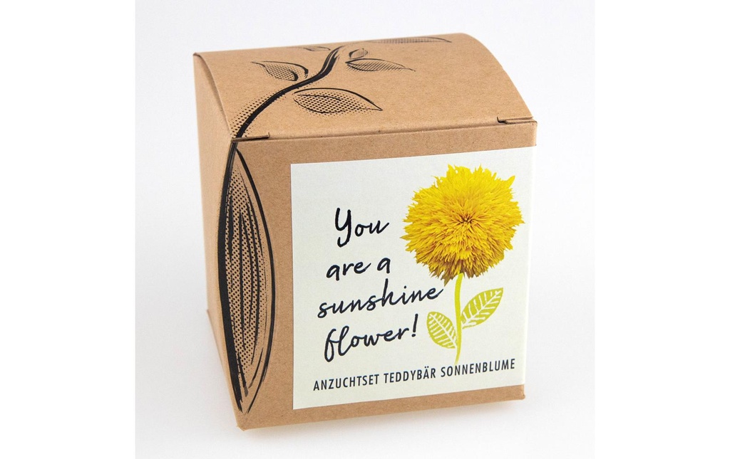Naturkraftwerk Kits de culture de semis You are a Sunshine Flower