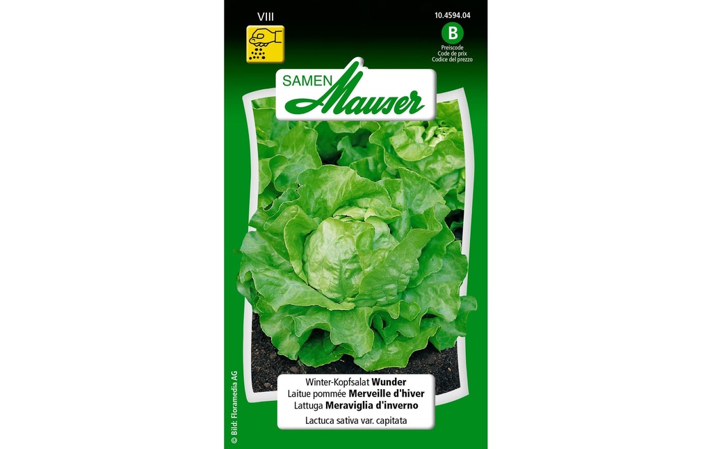 Samen Mauser Semence Profiline Salade d'hiver Wisa