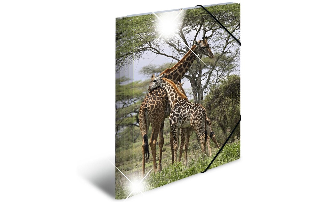 HERMA Portfolio à ruban élastique A4 Girafe, polypropylène, avec impression intérieure