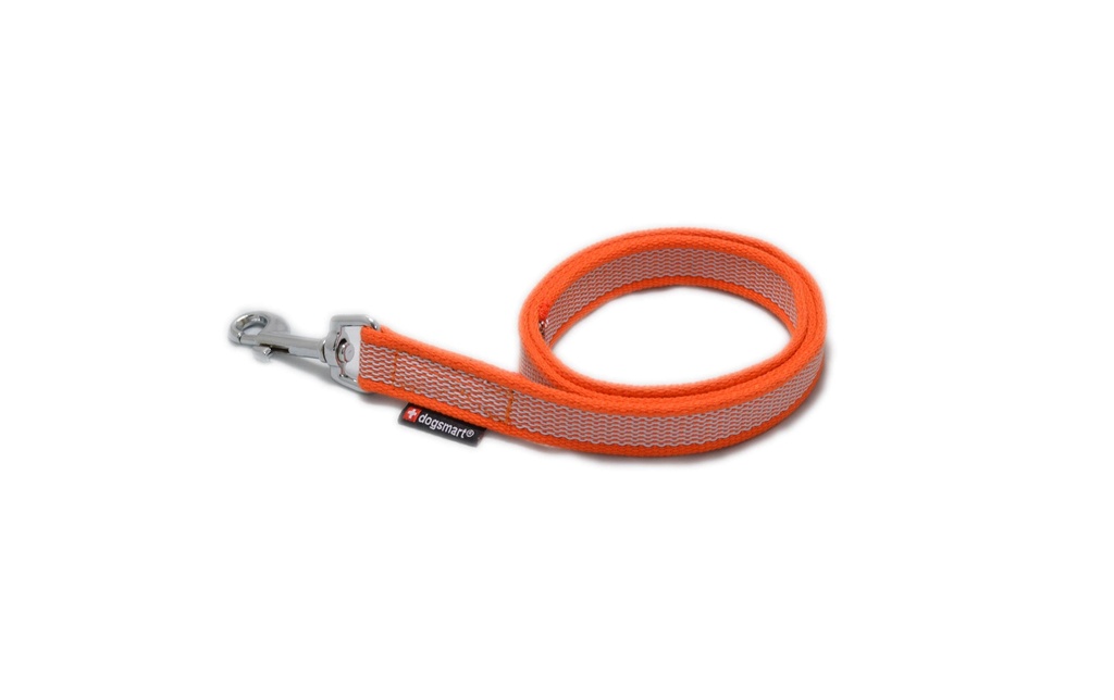 dogsmart Longe caoutchouté 6 m / 20 mm avec dragonne