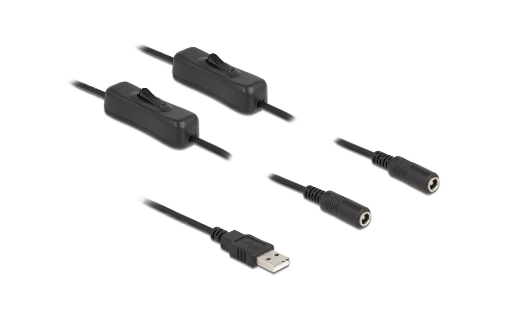 Delock Câble USB Connecteur USB-A vers 2x DC 5.5 x 2.1 mm Avec interrupteur