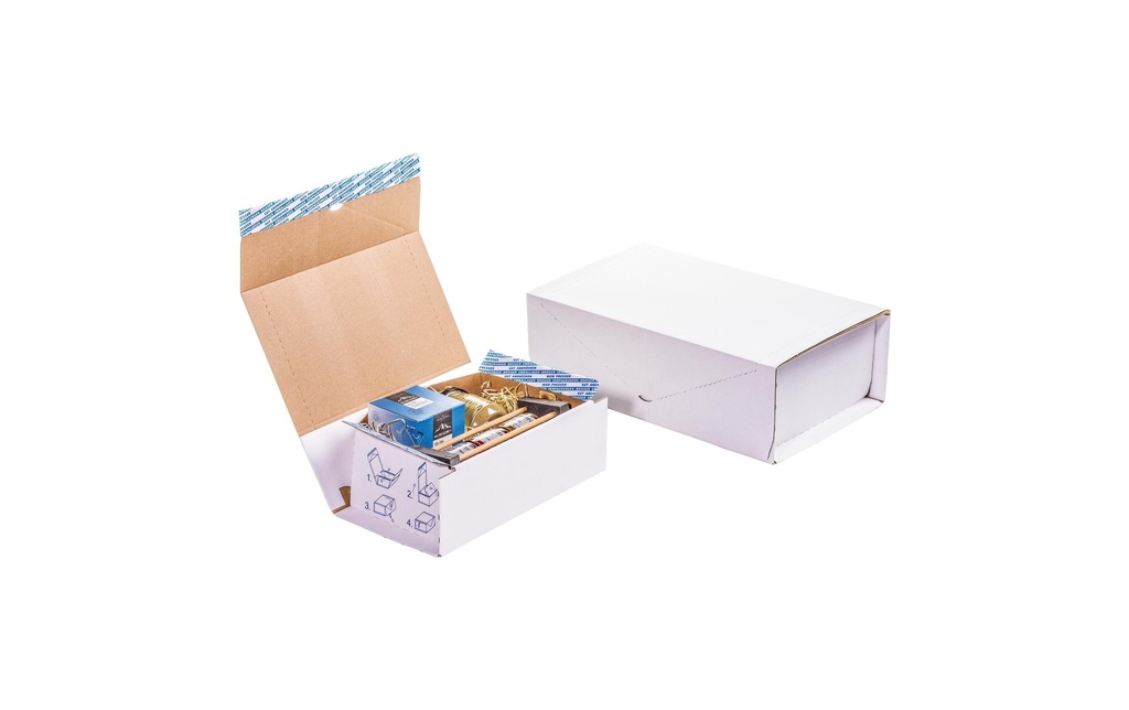 Brieger Carton d’expédition 32 x 22.4 x 12 cm, 1 pièce
