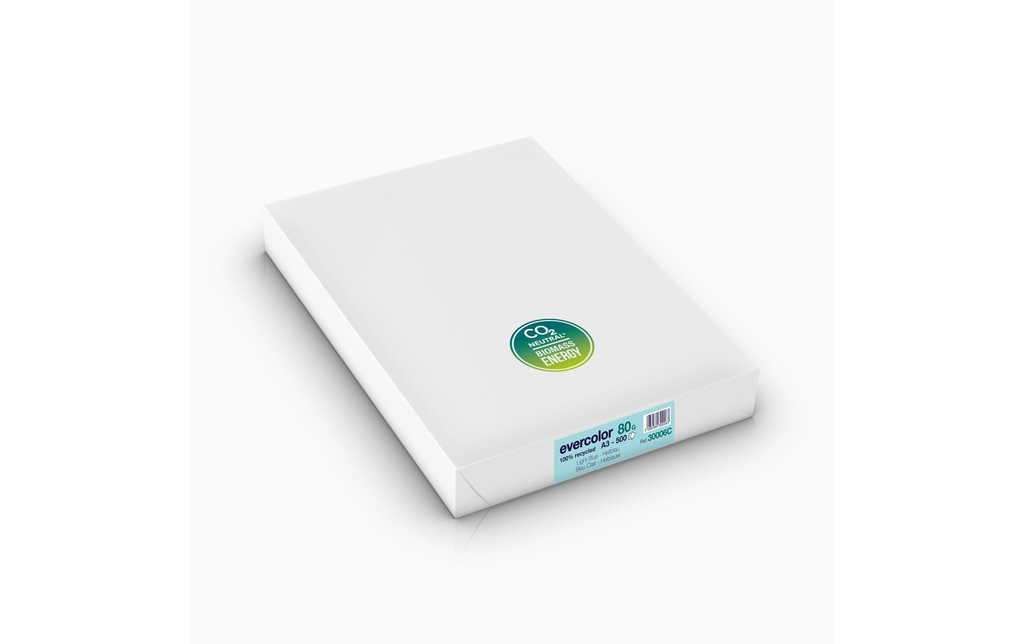 Clairefontaine Papier pour photocopie Evercolor A3, bleu clair, 80 g/m²,500 Blatt