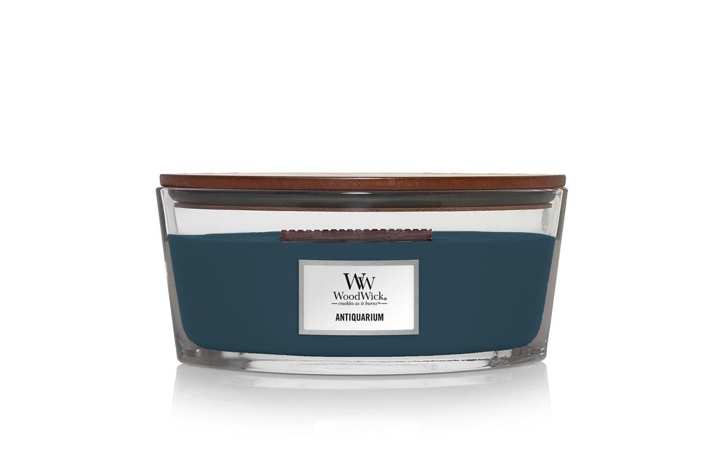 Woodwick Bougie parfumée Antiquarium Ellipse