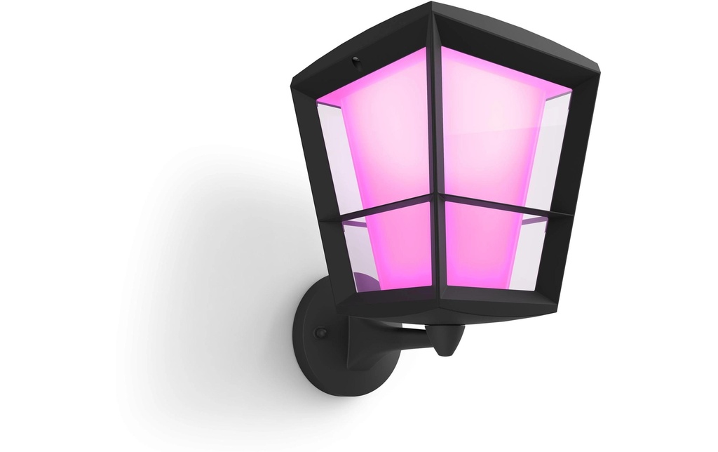 Philips Hue White & Color Ambiance Econic Outdoor Appl. Debout Noir