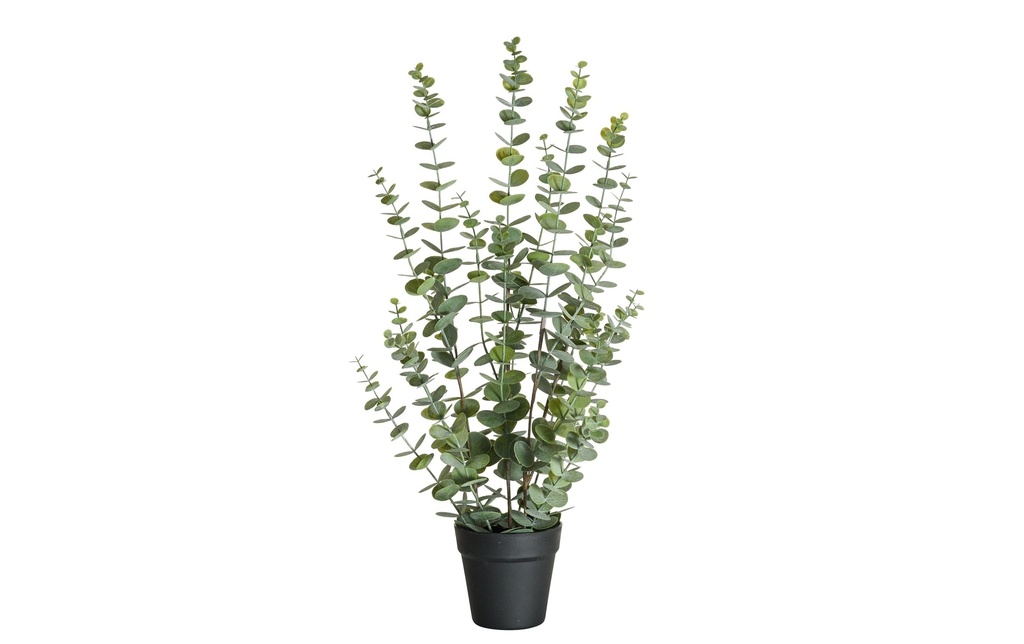 Botanic-Haus Plante artificielle Eucalyptus 76 cm