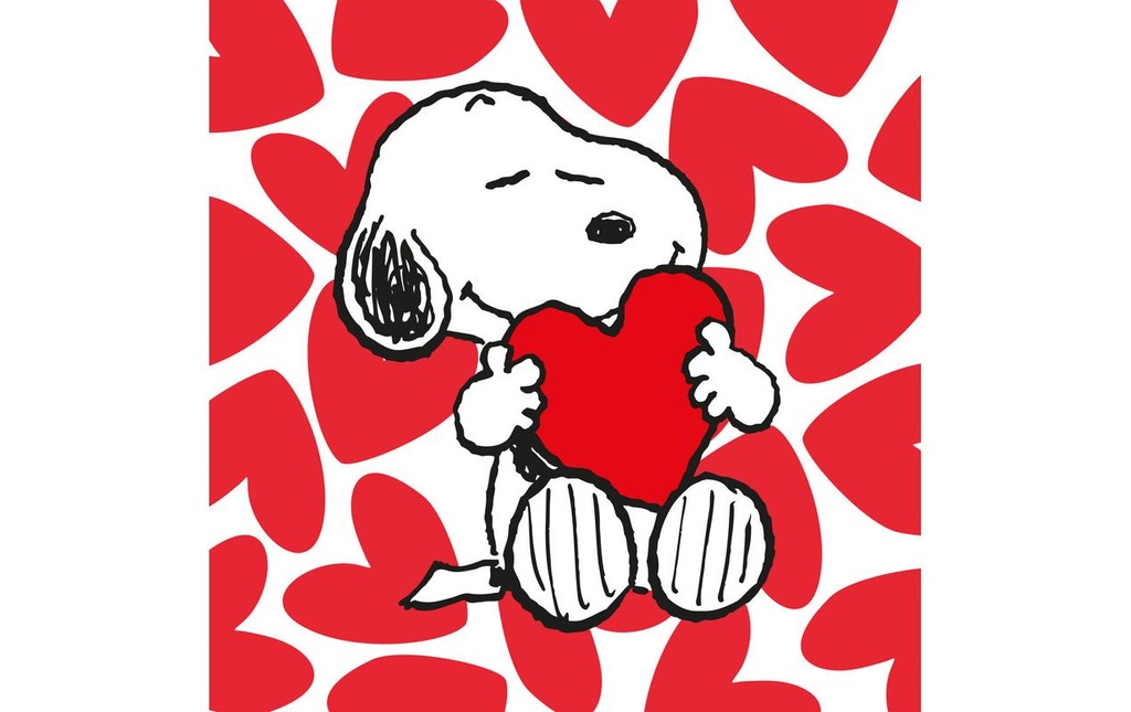 Braun + Company Snoopy Love 20 Pièce/s