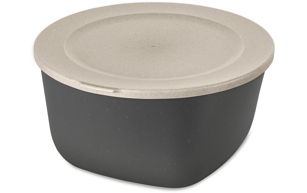 Koziol Boîte à provisions Connect 4 l, Gris