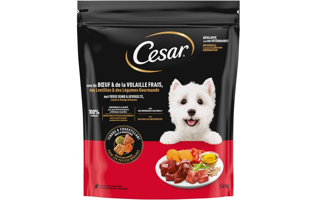 Cesar Alimentation sèche Plateau de chasse Bœuf, 1.4 kg