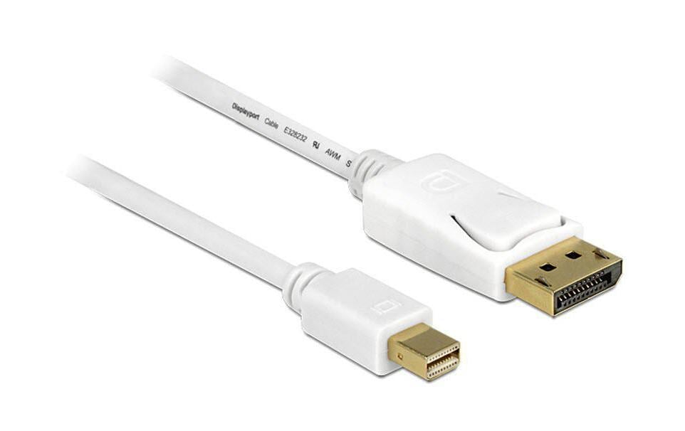 Delock Câble Mini-DisplayPort – DisplayPort, 2 m 4K 60 Hz