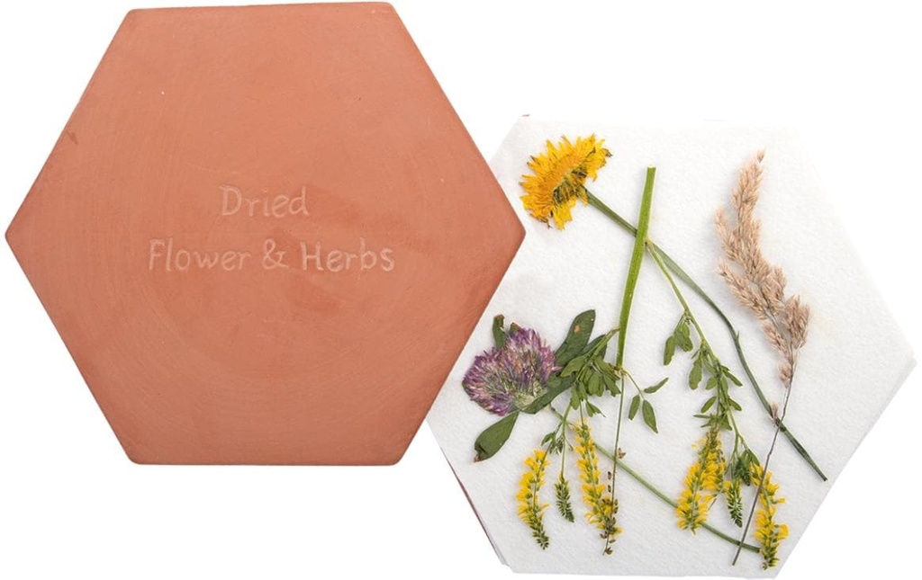 Esschert Design Presse à fleurs et à herbes Micro-ondes 7 pièces