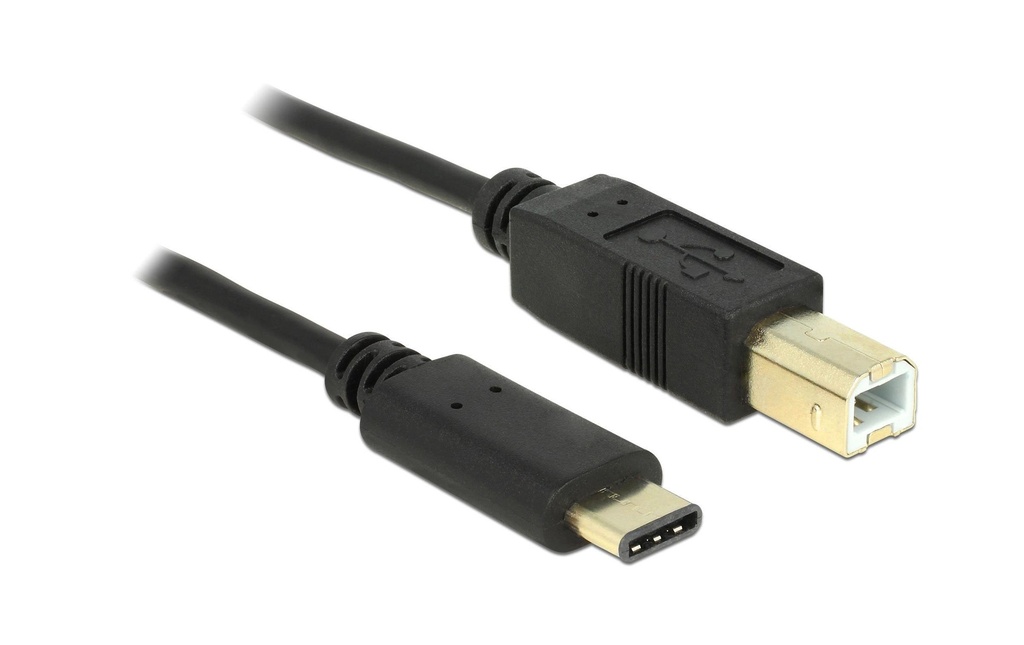 Delock Câble USB 2.0  USB-C - USB-B 2 m