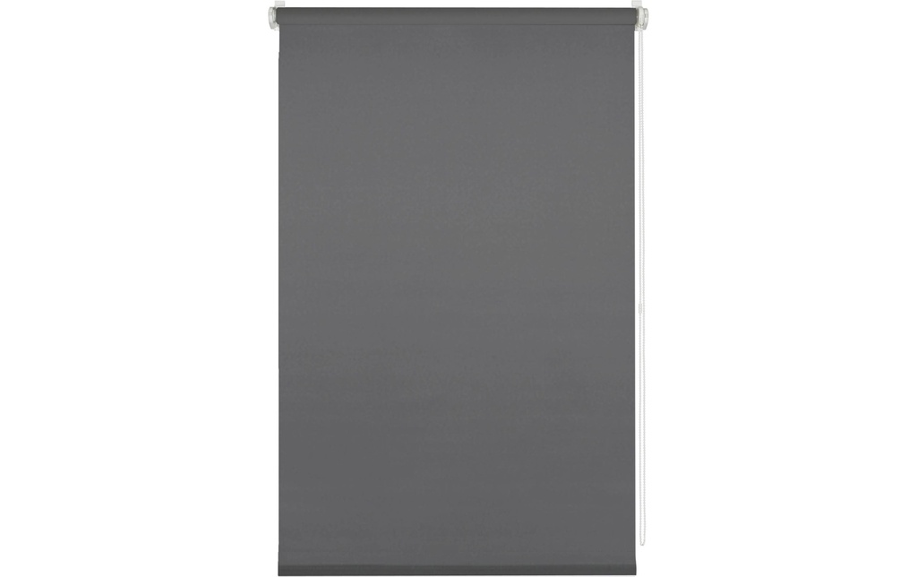 Gardinia Store à enroulement uni 50 x 150 cm, Anthracite