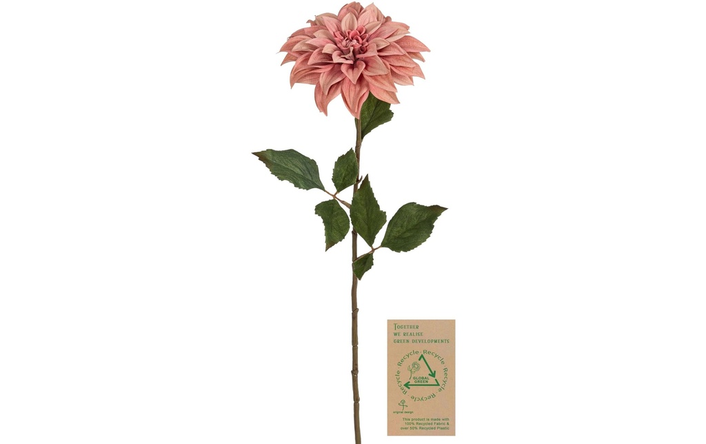 Botanic-Haus Fleur artificielle Dahlia, vieux rose, 66 cm