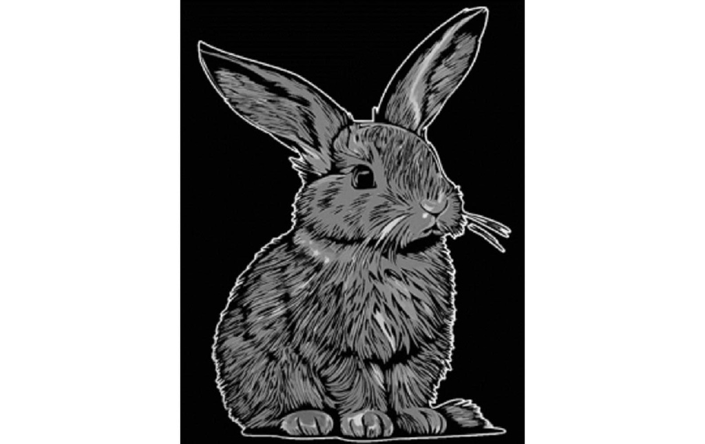 Tataruga Image de velours A4, lapin